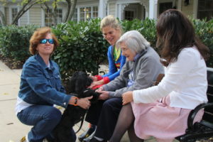 Group of care managers and resident playing with dog.