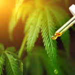 The Benefits of Low-Dose CBD for Our Aging Population: A Case Series 