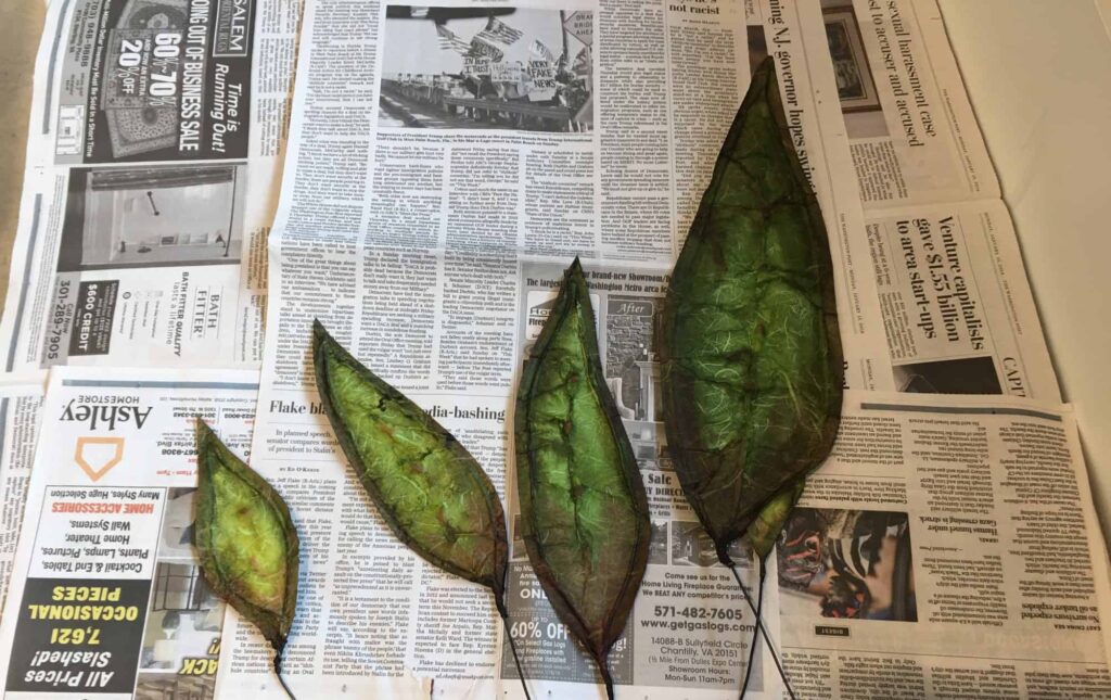 Kensington Falls Church assisted living residents helped create Fronds for Art In The Park