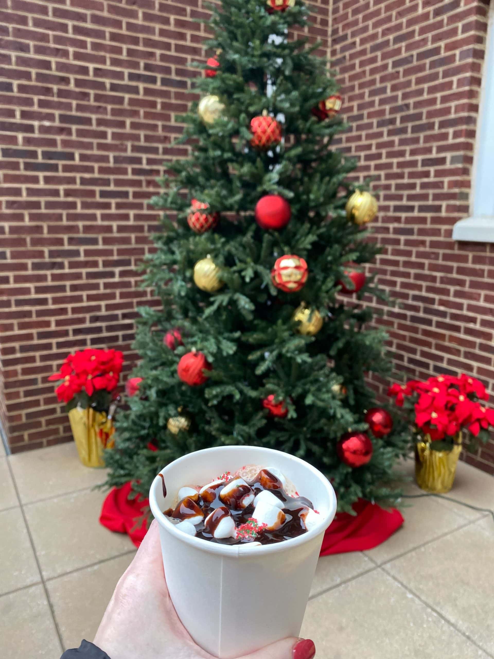 mug of hot chocolate with Christmas tree in background