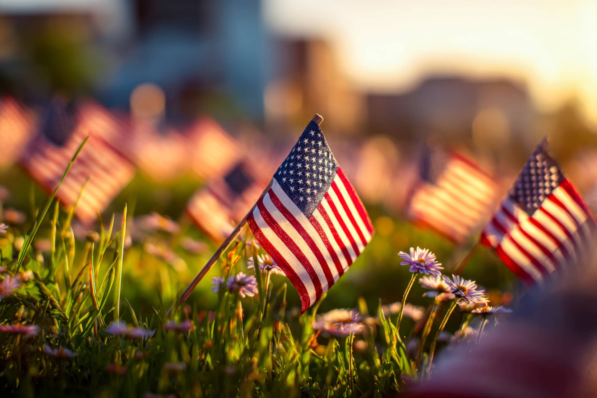 American flags